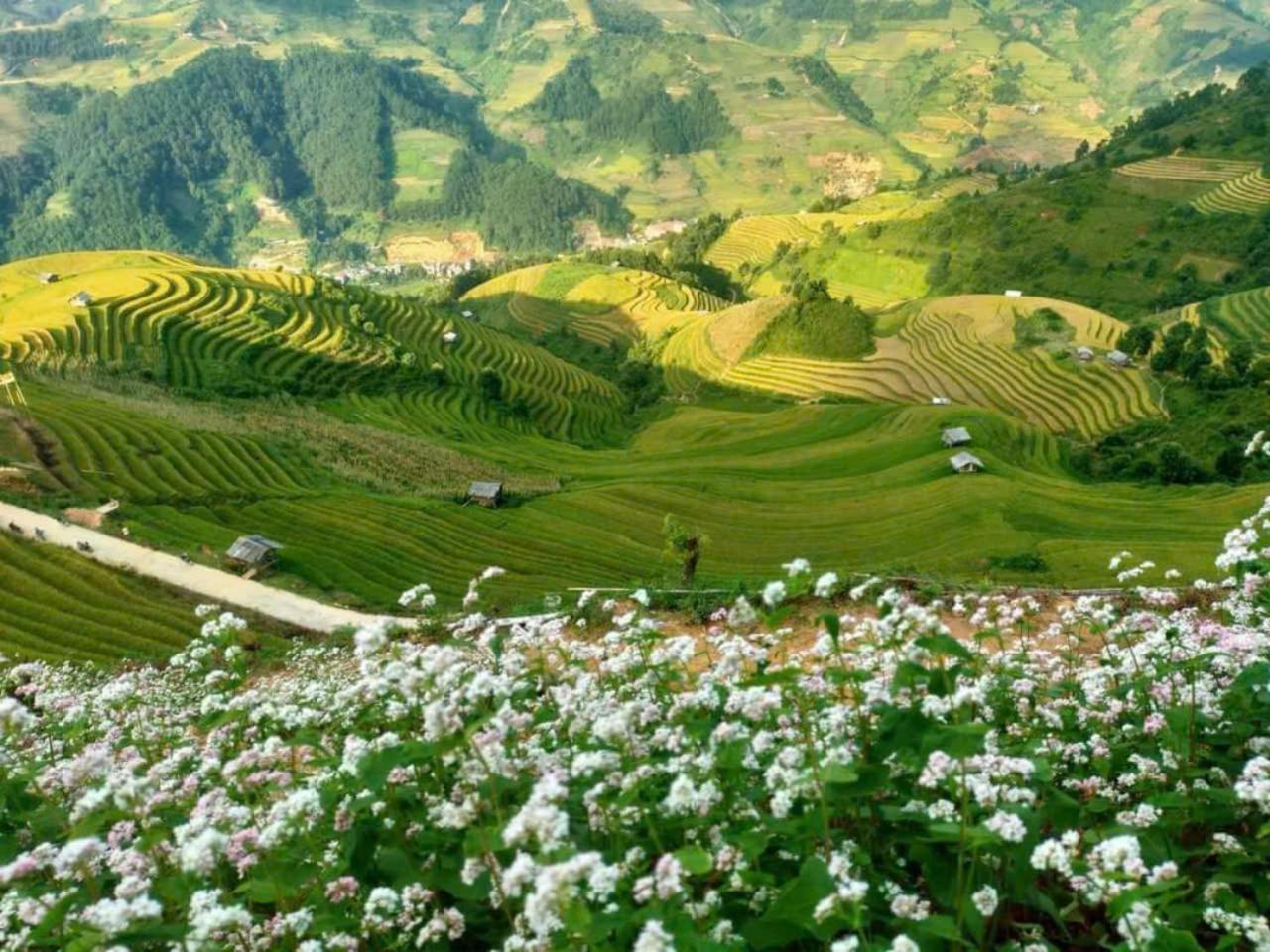 Mu Cang Chai Eco Home Экстерьер фото