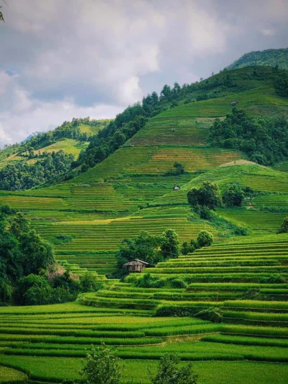 Mu Cang Chai Eco Home Экстерьер фото